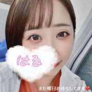 ヒメ日記 2025/09/25 15:50 投稿 はる 西船人妻花壇