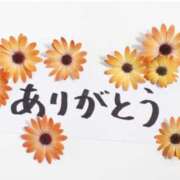 ヒメ日記 2025/11/20 13:09 投稿 はる 西船人妻花壇