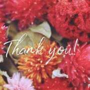 ヒメ日記 2025/12/02 17:19 投稿 はる 西船人妻花壇