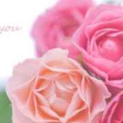 ヒメ日記 2026/01/29 20:41 投稿 はる 西船人妻花壇