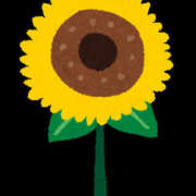 えみる若奥 あっついー！！ 未熟な若奥