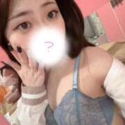 ヒメ日記 2025/04/04 16:58 投稿 はるひ 推しの娘