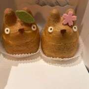 ヒメ日記 2026/01/25 09:44 投稿 夏目ここ 五十路マダムエクスプレス船橋店(カサブランカグループ)