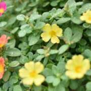 ヒメ日記 2025/09/02 17:15 投稿 ことは まつど女学園