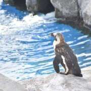 ヒメ日記 2025/09/30 10:02 投稿 ことは まつど女学園