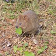 ヒメ日記 2025/10/24 12:01 投稿 ことは まつど女学園
