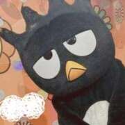 ことは 出勤日決まりました！🦓 まつど女学園