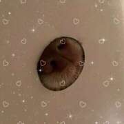 ヒメ日記 2025/04/27 21:53 投稿 にこ WOWOW UENO HEALTH STATION