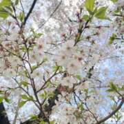 ヒメ日記 2025/04/29 13:56 投稿 にこ WOWOW UENO HEALTH STATION