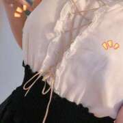 ヒメ日記 2025/05/30 08:10 投稿 ふぶき 熊本しこたまクリニック