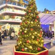 ヒメ日記 2025/12/08 09:00 投稿 ふぶき 熊本しこたまクリニック