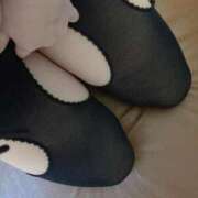 ヒメ日記 2025/12/22 09:50 投稿 ふぶき 熊本しこたまクリニック