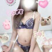 ヒメ日記 2025/06/16 09:04 投稿 琥珀らむ HYPER TOKYO