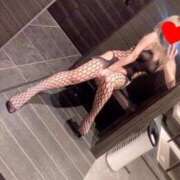 ヒメ日記 2025/09/16 01:22 投稿 なつめ ホワイトベル