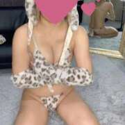 ヒメ日記 2025/12/18 08:02 投稿 なつめ ホワイトベル