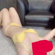 ヒメ日記 2026/01/13 23:32 投稿 なつめ ホワイトベル