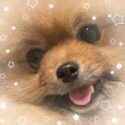 ヒメ日記 2025/06/08 10:59 投稿 ほなみ 神田ハンドメイド