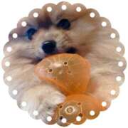 ヒメ日記 2025/07/15 13:31 投稿 ほなみ 神田ハンドメイド