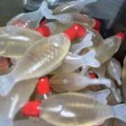 ヒメ日記 2025/07/24 18:38 投稿 あかり ジュエルズ(池袋)