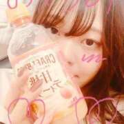 詩織 次回出勤予定🎀 昼顔妻 五反田店