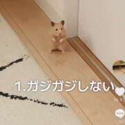 ヒメ日記 2025/08/09 14:53 投稿 ゆうあ クンニ専門店 おクンニ学園 池袋校