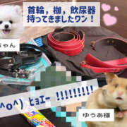 ヒメ日記 2025/09/08 00:35 投稿 ゆうあ クンニ専門店 おクンニ学園 池袋校