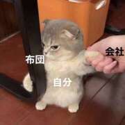 ヒメ日記 2025/10/20 11:03 投稿 ゆうあ クンニ専門店 おクンニ学園 池袋校