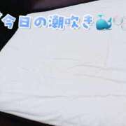 ヒメ日記 2025/10/25 17:20 投稿 ゆうあ クンニ専門店 おクンニ学園 池袋校