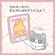 ヒメ日記 2025/11/14 21:41 投稿 ゆうあ クンニ専門店 おクンニ学園 池袋校