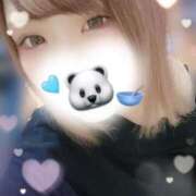 ヒメ日記 2025/04/13 23:20 投稿 えな 奥様なでしこ