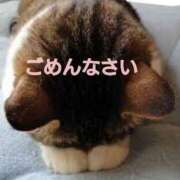 ヒメ日記 2025/03/31 12:11 投稿 ゆめの 熟女の風俗最終章 宇都宮店