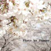 ヒメ日記 2025/04/07 20:21 投稿 ゆめの 熟女の風俗最終章 宇都宮店