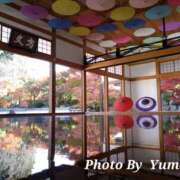 ヒメ日記 2025/11/21 10:01 投稿 ゆめの 熟女の風俗最終章 宇都宮店