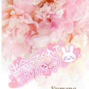 ヒメ日記 2026/02/13 00:21 投稿 ゆめの 熟女の風俗最終章 宇都宮店