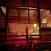 ヒメ日記 2025/04/05 10:53 投稿 北条　つばき YUDEN〜油殿〜谷九・日本橋店