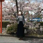 ヒメ日記 2025/04/06 09:44 投稿 北条　つばき YUDEN〜油殿〜谷九・日本橋店