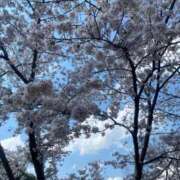 ヒメ日記 2025/04/07 18:10 投稿 北条　つばき YUDEN〜油殿〜谷九・日本橋店