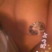 ヒメ日記 2025/03/27 10:49 投稿 よつば G-SCANDAL