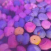 ヒメ日記 2025/09/01 13:29 投稿 よつば G-SCANDAL