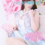 ヒメ日記 2025/04/27 00:32 投稿 かこ ハピネス福岡