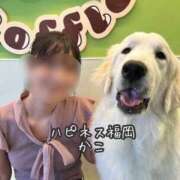 ヒメ日記 2025/11/01 21:42 投稿 かこ ハピネス福岡