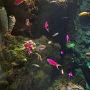 ヒメ日記 2025/06/25 19:53 投稿 愛咲えみか 大人めシンデレラ 新横浜店（シンデレラグループ）