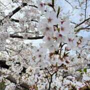 ヒメ日記 2025/04/05 19:55 投稿 れいこ 横浜熟女MAX