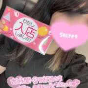 ヒメ日記 2025/03/24 15:27 投稿 のぞみ 千葉人妻花壇