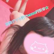 ヒメ日記 2025/08/01 14:06 投稿 のぞみ 千葉人妻花壇