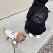 ヒメ日記 2026/03/03 19:17 投稿 如月もな 水戸ソープ アイドル彼女