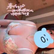 ヒメ日記 2025/04/27 09:57 投稿 あい ロイヤル土佐