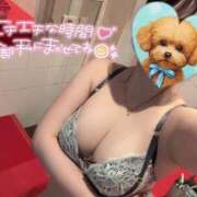 ヒメ日記 2025/06/30 09:15 投稿 あい ロイヤル土佐