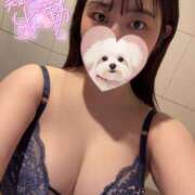 ヒメ日記 2025/11/13 10:57 投稿 あい ロイヤル土佐