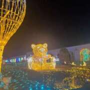 ヒメ日記 2025/11/13 16:31 投稿 あい ロイヤル土佐